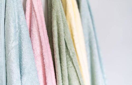 Cacti - Cactyou - Cactus - Foto 34