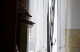 Aussiehome - Photo 10