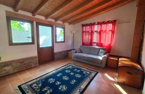 Fattoria Antognoni - Foto 68