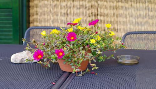 Un Angolo di Relax - Foto 3