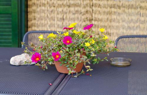 Un Angolo di Relax - Foto 3