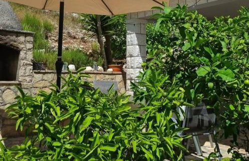 Apartments Kuzma - Foto 18