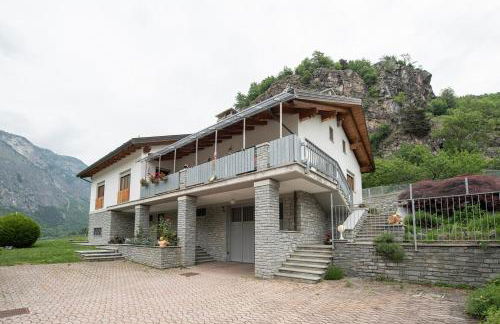 The Green Owl - Foto 39