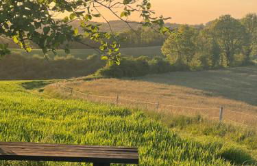 La Colline de Tilleul - Les Tilleuls - 4 STAR RATED - stunning cottage with pool near Aubeterre in idyllic location - Foto 59