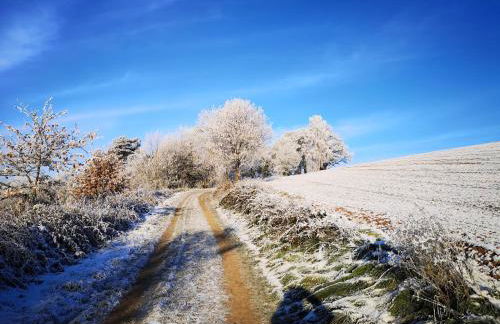 Schrauts Unwesen - Photo 58