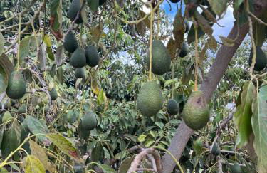 Casa El granero de Antonio - Foto 76