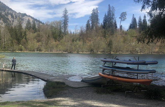 Renovated 3 Rooms Apartment in Ruschein Near Laax - Foto 41