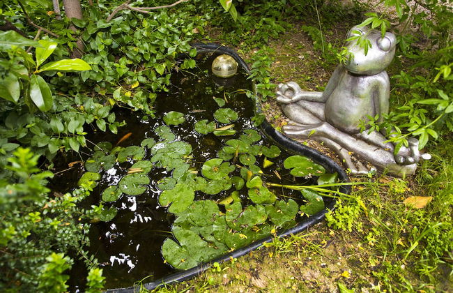 Apartments Silver Tree - Foto 44