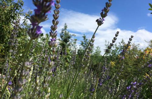 Apartment Stinica 31b - Photo 7