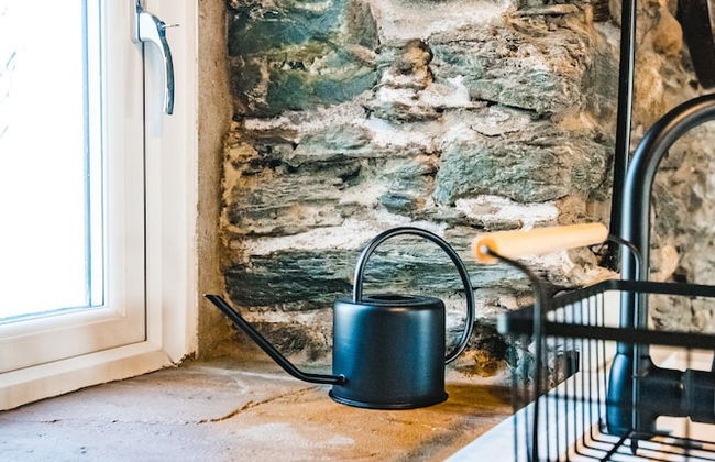 The Milking Shed at Pencraig - Foto 28