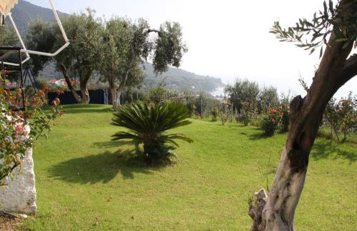 Areti Studios - Foto 47