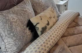 CENTRAL SPOT AXD - Foto 42