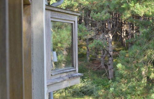 La villa dans les pins - Photo 13