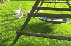 Landzeit Niedergräfenhain - Foto 8