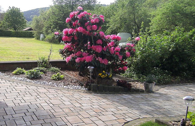 Apartment in the Odenwald With Terrace - Foto 27