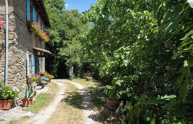 Podere La Vigna - Foto 31