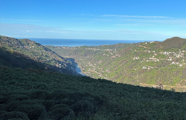 Kalivi Suit Bungalov - Foto 29