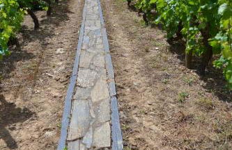 Quinta do Santo no Douro - Casa T2 - Foto 18