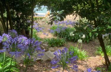 Cottage da Fonte Seca - Foto 31