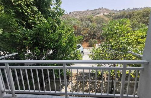 Απέραντο γαλάζιο Le grand blue - Foto 40