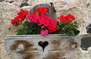 Balcone sul Civetta - Foto 39