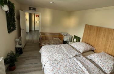 Möblierte Wohnung Petra - Foto 13