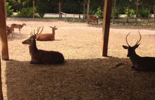 Apartamento Turistico Cigüeña de Arguedas - Foto 45