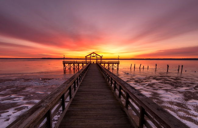 Stylish 1 BR Apartment w Movie Theater - Photo 38