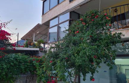 Villa George - Family Holidays - Foto 16