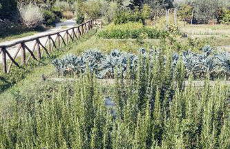 Agriturismo Cuprena - Foto 40