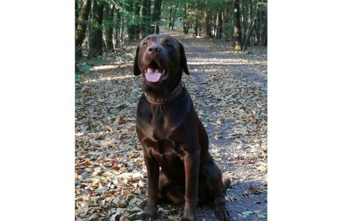 Holiday Apartment Kerstin - Foto 26