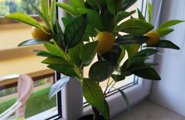 Cocon Zeitz - Foto 49