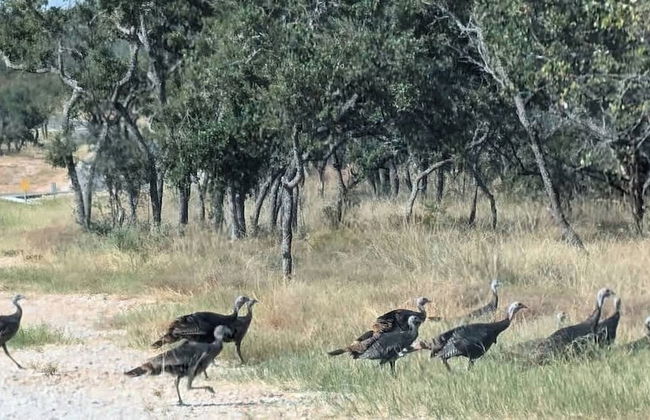 Oakridge Ranch: Pool + Hot-tub, Pickleball Court, Whiskey & Wine Room - Foto 61