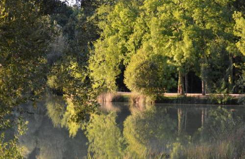 Holiday Home in Loubigne With Pool & Terrace - Foto 61