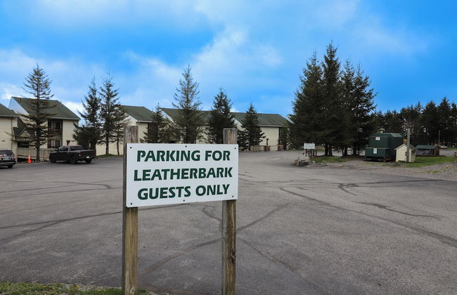 Leatherbark - Foto 11