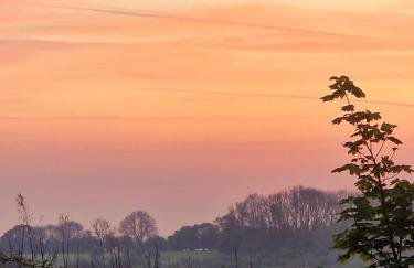 The Old Band Room House No 2 - Photo 25
