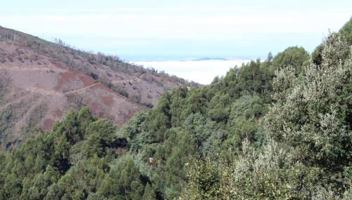 Casa dos Desenhos - Foto 4