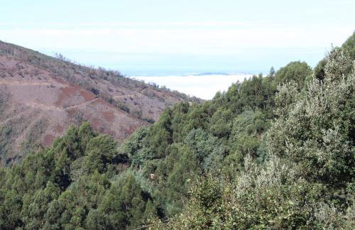 Casa dos Desenhos - Foto 4