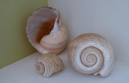 Dolichi View - Foto 41