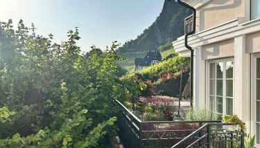 Weinberg Luxus Residenz in Rhöndorf - Foto 5, Garden view