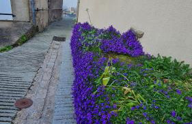 Le Bocage gîte 90m2 chaleureux à 4 min du Puy du Fou - Foto 44