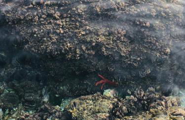 Almadrava Beach - Photo 59