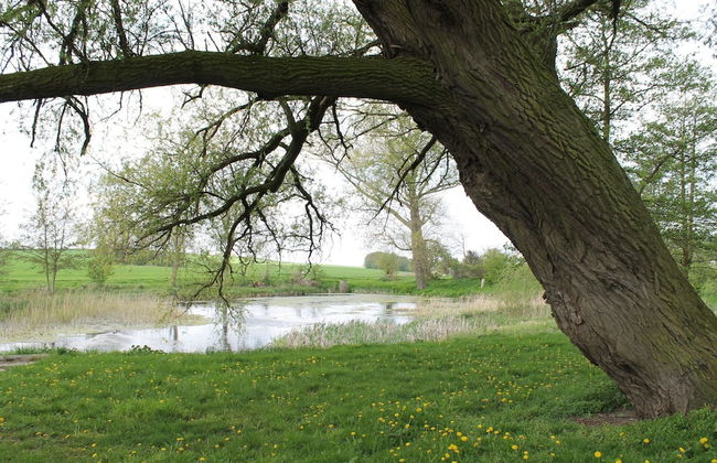 Bauernhaus Bungalow in Neubukow Schoner Garten - Foto 20