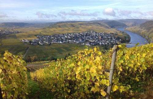 Ferienwohnung Bergblick - Foto 7