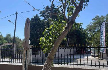 La casa de verano - Foto 60