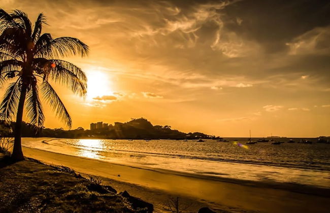 Birds-eye view of the ocean in nicely priced unit on top floor in Flamingo - Photo 27