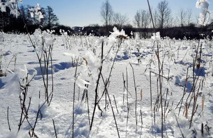 Ferienhaus Am Anger - Foto 32