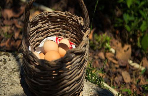 I Tre Tigli - Casa di campagna - Foto 20