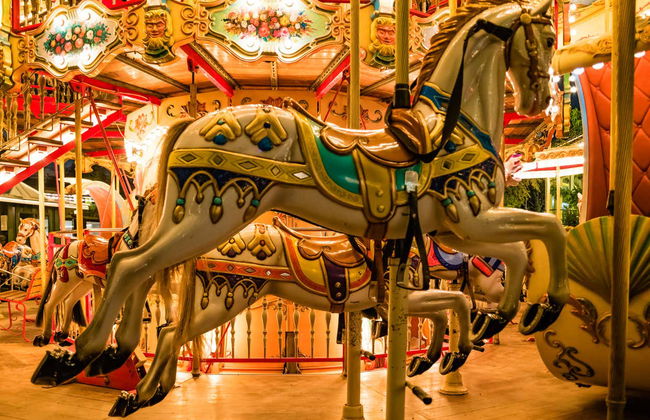 Ingresso dos Jardins Tivoli - Foto 5