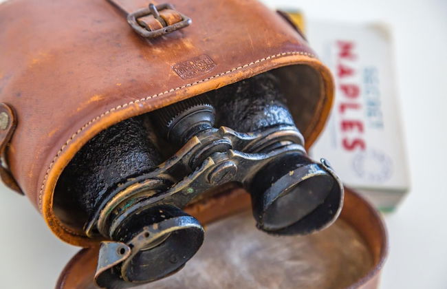 Dream Terrace on the Gulf - Foto 26